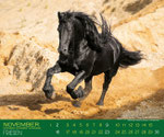 Foto für Friesenkalender 2014 von Gabrielle Boiselle