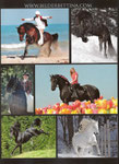 Baroque Horse Magazine Issue 7 von Danielle Skermann, Australia