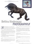 Interview mit Bettina Niedermayr