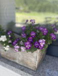 Blumenschmuck, Apart Rauch, Zillertal
