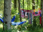 Nen Kesselchen Buntes im Auwald vom Nachbarn