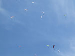 Buntes Treiben