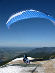 Guter Flug ....