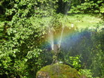....am Teich