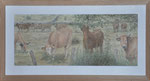 Douces vaches du Causse (Soult) (0,85 x 0,41)