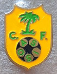 C.F. Oasis (Villamayor)  *brooch*