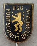 BSG Fortschritt (Oelsnitz - Vogtland) Sachsen  *stick pin*