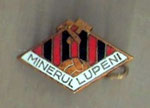 Minerul (Lupeni)  *brooch*