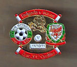 Bulgaria v Wales   Euro 2012 Qualifier  11/10/11  *brooch*