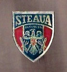 Steaua (Bucureşti)  *brooch*