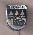 BSG Stahl (Olbernhau)  *stick pin*