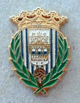 Arandina C.F. (Aranda de Duero)  *pin*