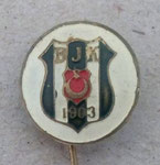 Beşiktaş J.K. (Istanbul)  *stick pin*