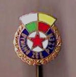 TJ Dynamo ZČE (Plzeň)  *stick pin*