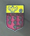 F.C. Settalese (Settala)  *pin*