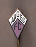 F.C. Arges (Piteşti)  *stick pin*