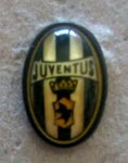 Juventus F.C. (Torino - Turin)  *pin*