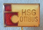 HSG Ingenieurhochschule (Cottbus) Brandenburg  *stick pin*