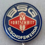 BSG Fortschritt (Bischofswerda) Sachsen  *stick pin*