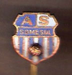 A.S. Somesul (Satu Mare)  *stick pin*