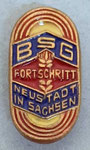 BSG Fortschritt (Neustadt in Sachsen) Sachsen  *brooch*