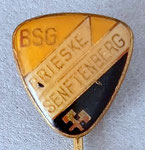 BSG Aktivist  Brieske-Senftenberg (Senftenberg) Brandenburg  *stick pin*