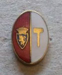 Torino Calcio (Torino - Turin)  *pin*