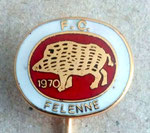 F.C. Felenne (Beauraing) Province of Namur  *stick pin*