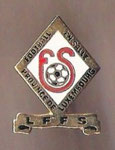 FOOTBALL EN SALLE PROVINCE DE LUXEMBOURG (LFFS - Ligue Francophone de Football en Salle)  *pin*