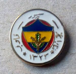 Fenerbahçe S.K. (Istanbul)  *pin*