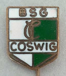 BSG Chemie (Coswig) Sachsen  *stick pin*