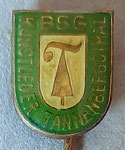 BSG Kunstleder (Tannenbergsthal) Sachsen  *stick pin* 