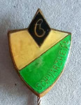 BSG Chemie (Schwarzheide)  Brandenburg  *stick pin*
