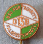 BSG Fortschritt (Falkenstein - Vogtlandkreis) Sachsen  *stick pin*