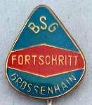 BSG Fortschritt (Grossenhain) Sachsen  *stick pin*