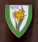 Llanidloes Town F.C.  *pin*