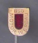 BSG Motor (Werdau)  *stick pin*