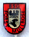 BSG Forst (Müllrose) Brandenburg  *stick pin*