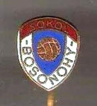 Sokol (Bosonohy)  *stick pin*