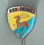 BSG Sebnitz (Sebnitz)  *stick pin*