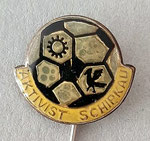 BSG Aktivist (Schipkau) Brandenburg  *stick pin*