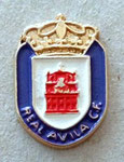 Real Ávila C.F. (Ávila)  *pin*
