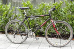 TROGER Tofana 1993, ein Modell der südtiroler Bikemarke Troger