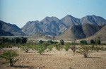 NAMIBIA MOTORBIKE TOURS ENDURO TOURS QUAD BIKE TOURS 4 x 4 SELF-DRIVE TOURS OFFROAD ADVENTURE TOURS / NAMIBIA OMARURU ETOSHA NATIONALPARK OPUWO EPUPA ONGONGO SESFONTAIN PALMWAG SKELETON COAST CAPE CROSS