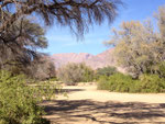 NAMIBIA MOTORRADREISEN ENDUROTOUREN QUADTOUREN GELÄNDEWAGENTOUREN ABENTEUERREISEN OFFROADTOUREN / NAMIBIA DESERT RHINO  WINDHOEK  KHOMASHOCHLAND OMARURU SPITZKOPPE BRANDBERG UIS TWYFELFONTEIN GAI AS UGAB RIVER MESSUM CRATER CAPE CROSS SKELETON COAST 
