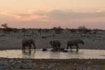 NAMIBIA MOTORBIKE TOURS ENDURO TOURS QUAD BIKE TOURS 4 x 4 SELF-DRIVE TOURS OFFROAD ADVENTURE TOURS / NAMIBIA OMARURU ETOSHA NATIONALPARK OPUWO EPUPA ONGONGO SESFONTAIN PALMWAG SKELETON COAST CAPE CROSS