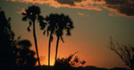 NAMIBIA MOTORBIKE TOURS ENDURO TOURS QUAD BIKE TOURS 4 x 4 SELF-DRIVE TOURS OFFROAD ADVENTURE TOURS / NAMIBIA OMARURU ETOSHA NATIONALPARK OPUWO EPUPA ONGONGO SESFONTAIN PALMWAG SKELETON COAST CAPE CROSS