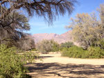 NAMIBIA MOTORRADREISEN ENDUROTOUREN QUADTOUREN GELÄNDEWAGENTOUREN ABENTEUERREISEN OFFROADTOUREN / NAMIBIA DESERT RHINO  WINDHOEK  KHOMASHOCHLAND OMARURU SPITZKOPPE BRANDBERG UIS TWYFELFONTEIN GAI AS UGAB RIVER MESSUM CRATER CAPE CROSS SKELETON COAST 