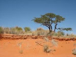 NAMIBIA MOTORRADREISEN ENDUROTOUREN QUADTOUREN GELÄNDEWAGENTOUREN ABENTEUERREISEN OFFROADTOUREN / NAMIBIA KALAHRI FISHRIVER CANYON SOSSUSVLEI