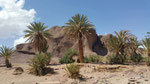 FINT OASIS NEAR OUARZAZATE – GREEN PARADISE IN THE MOROCCAN DESERT